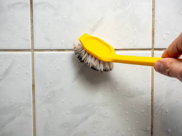 Best Water Damage Restoration  in Topton, PA