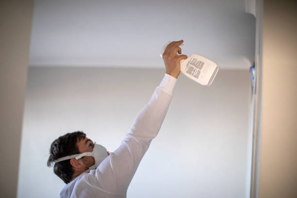 Best Mold Removal Company Near Me  in Topton, PA