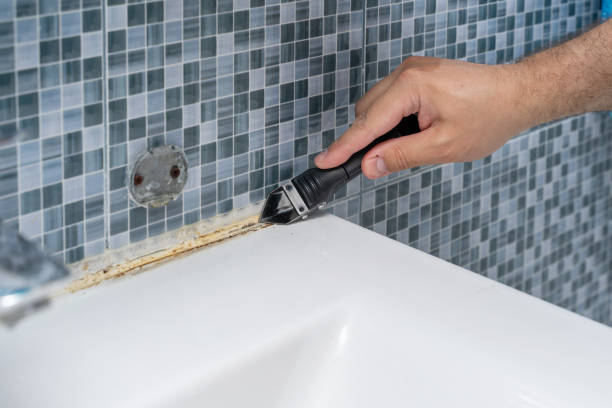 Best Best Mold Removal Companies  in Topton, PA