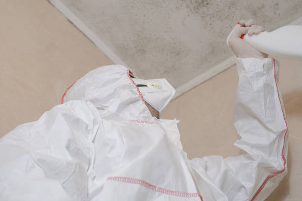 Best Mold Testing  in Topton, PA