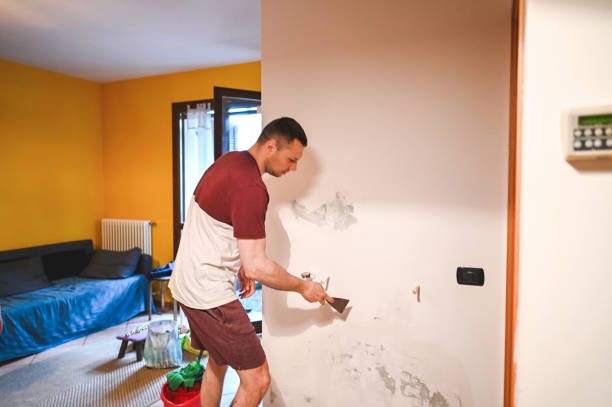 Best Residential Mold Removal  in Topton, PA